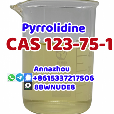 Factory Supply Pyrrolidine Cas 123-75-1 with Safe Delivery Door to Door