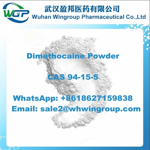 +8618627159838 Dimethocaine CAS 94-15-5 Factory Supply with Good Price