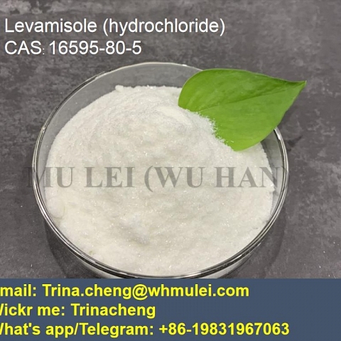 Shiny phenacetin powder crystal phenacetin supplier in China CAS 62-44-2