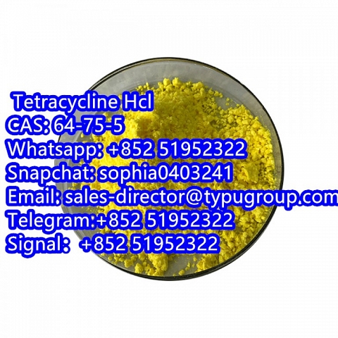  Tetracycline Hcl CAS64-75-5