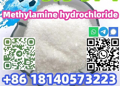 Buy Hot sale CAS 593-51-1 Methylamine hydrochloride with Safe Delivery