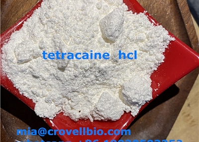 tetracaine supplier in China ( whatsapp +86 19930503252 