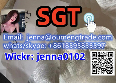 selling high quality sgt SGT Whatsapp/skype:+8618595853597