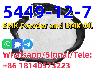 Cas 5449-12-7 New BMK Glycidic Acid for sale Europe warehouse