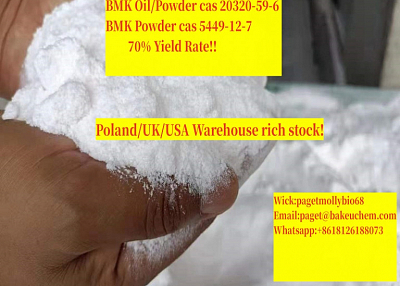 75% yield rate white powder cas 5449-12-7 new bmk powder / strong bmk 