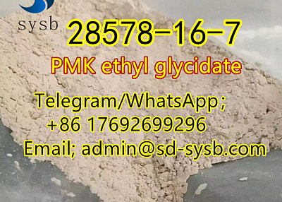  107 CAS:28578-16-7 PMK ethyl glycidate