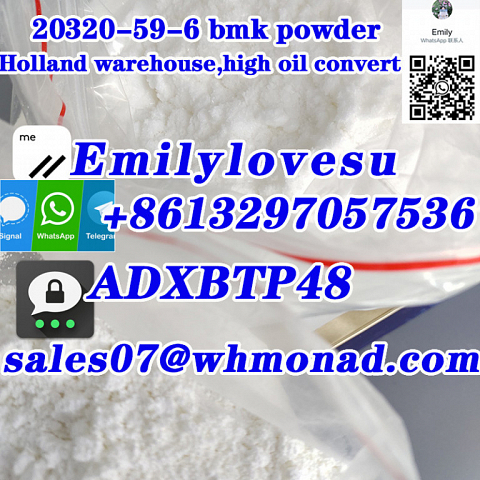 85% convert oil yield BMK powder new bmk CAS 20320-59-6 Holland stock door to door