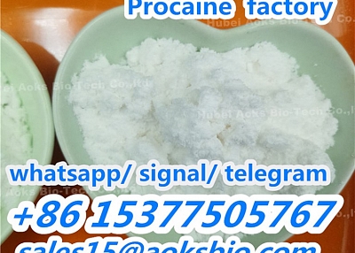 sell procaine hcl cas 59-46-1 procaine base in stock