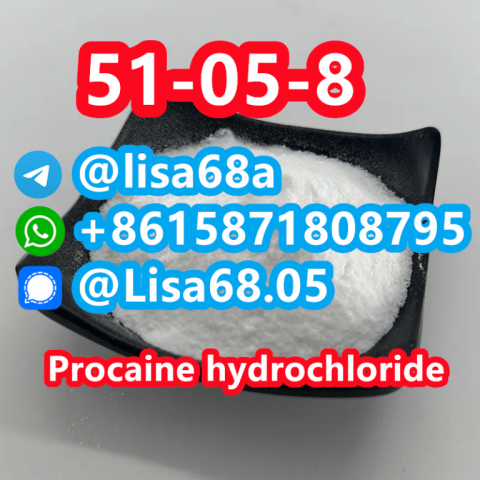 CAS 51-05-8 Procaine hydrochloride C13H21ClN2O2