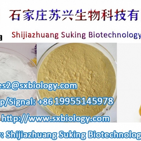 High Purity 5cladba Research Chemical Mmbc Yellow Powder 5cl 5c