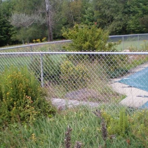 Chain Link Swimming Pool Fence