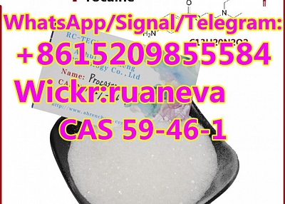 Procaine CAS NO.59-46-1