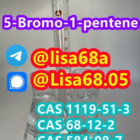 CAS 1119-51-3 5-Bromo-1-pentene C5H9Br