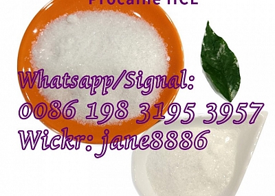 Procaine HCL