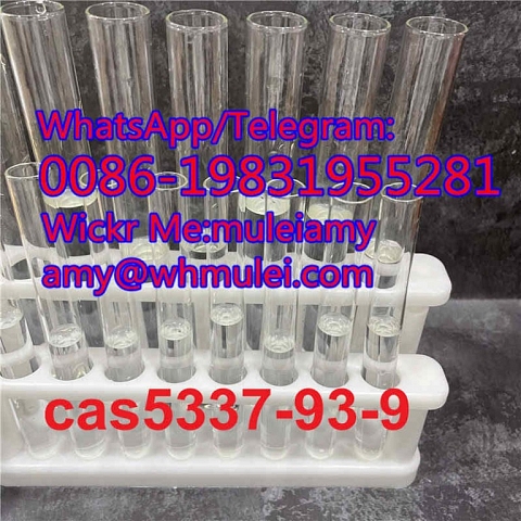  99% high purity Cas5337-93-9,cas 5337-93-9,5337 93 9,cas5337-93-9, Whatsapp:0086-19831955281