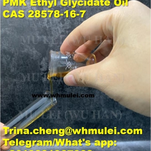 New PMK Ethyl Glycidate liquid CAS 20320-59-6 New PMK oil with high yield from China supplier