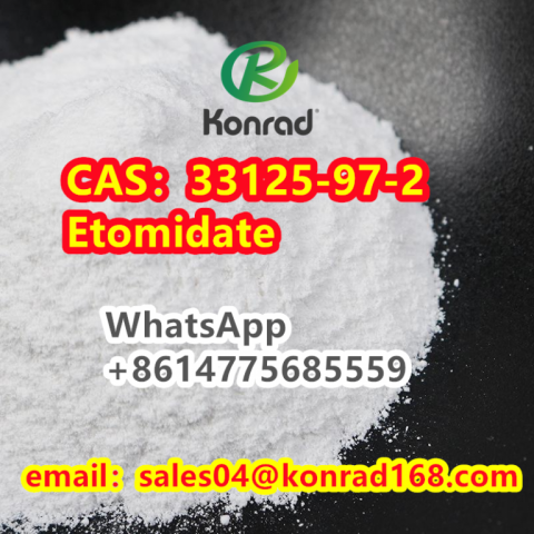 CAS：33125-97-2Etomidate