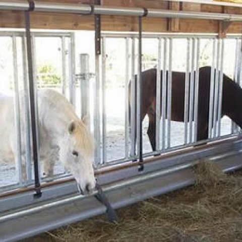 Horse Panel Feeding Rack