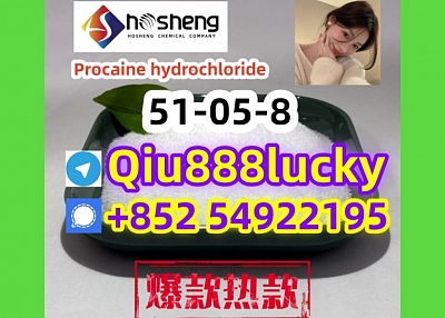 51-05-8  Procaine hydrochloride  