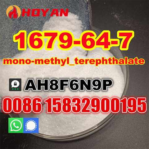 MMT raw powder Cas 1679-64-7 monomethyl terephthalate good price