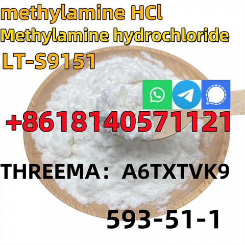 CAS 593-51-1 Methylamine hydrochloride LT-S9151 good price with high qualtiy