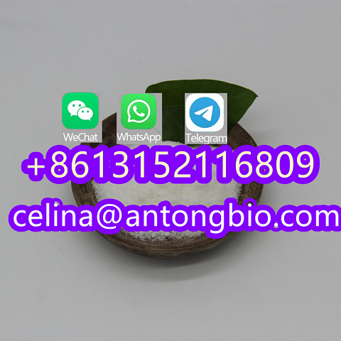 99% Purity New Product Local Anesthetic Powder Larocaine CAS 94-15-5