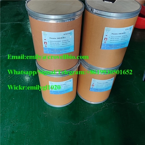 MANUFACTURER Procaine base / cas 59-46-1 / procaine powder / procaine supplier / factory