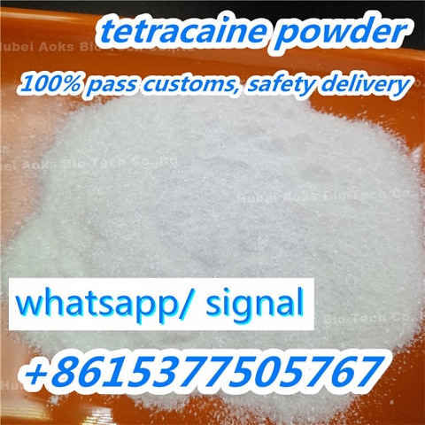 Tetracaine Powder 94-24-6 Local Anesthetic Chemical Raw Material Tetracaine china top supplier