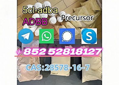 出售CAS：28578-16-7 5cl-adba ADBB前体中国供应商