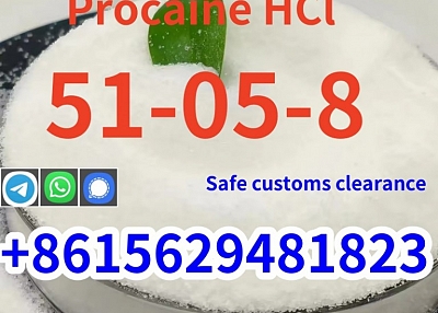 High quality cas 51-05-8 procaine Hcl in stock