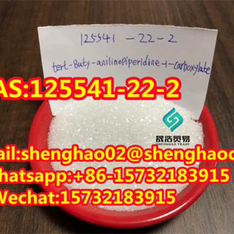 The Best Price of 1-Boc-4- (Phenylamino) Piperidine CAS No 125541-22-2 99% White powder 125541-22-2 