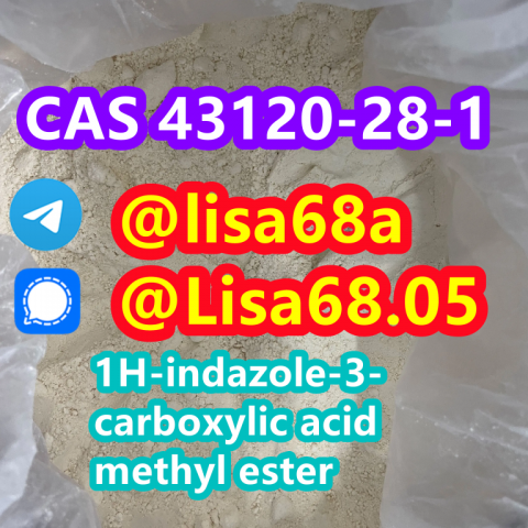 CAS 43120-28-1 1H-indazole-3-carboxylic acid methyl ester C9H8N2O2