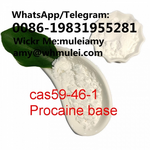 Procaine,procaine base procaine powder