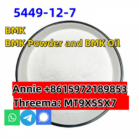 Cas 5449-12-7 New BMK Glycidic Acid for sale Europe warehouse