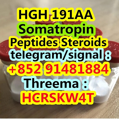 HGH 191AA Somatropin cas 126-01-5