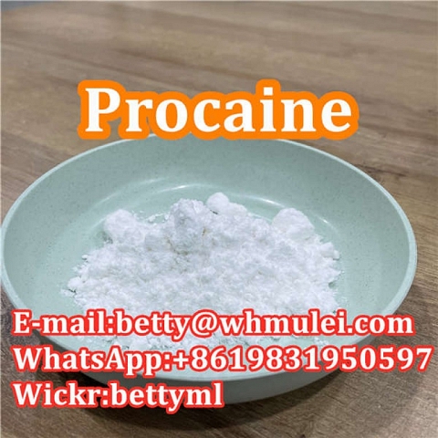 Cas:59-46-1 factory procaine,procaine powder favorable price safe delivery