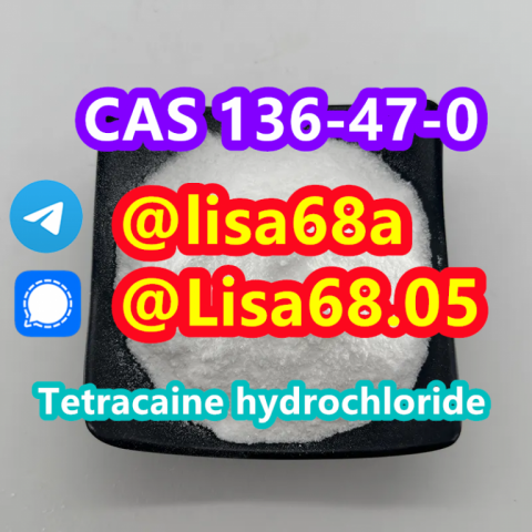 CAS 136-47-0 Tetracaine hydrochloride C15H25ClN2O2