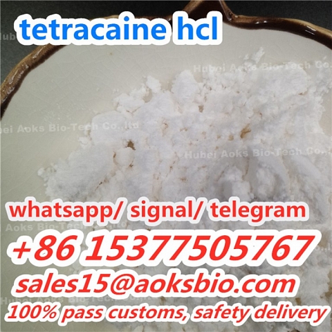 tetracaine CAS 94-24-6 tetracaine powder