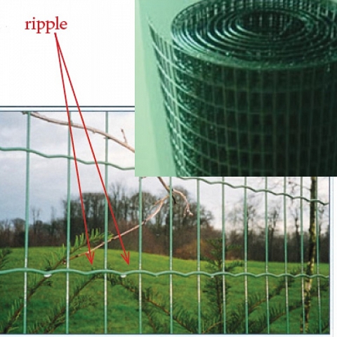 Galvanized Welded Wire Mesh