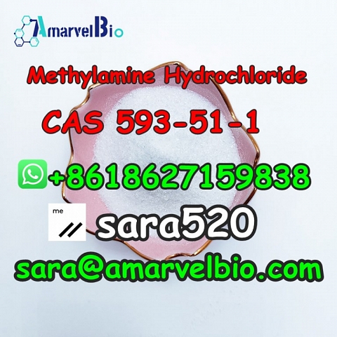 +8618627159838 Methylamine Hydrochloride CAS 593-51-1 Research Chemical with Fast Delivery