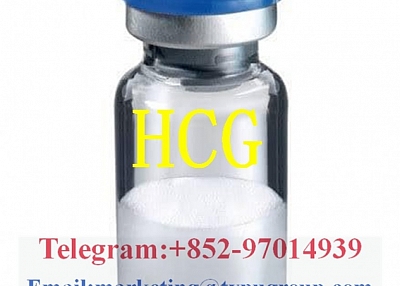 Chorionic gonadotropin HCG CAS:9002-61-3 Telegram/Whatsapp:+852-97014939