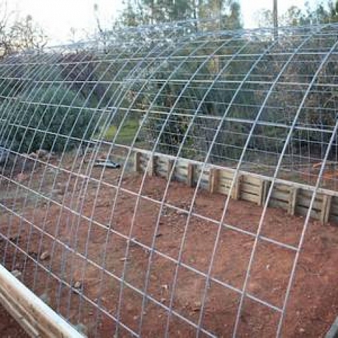 Welded Wire Cattle Panels Not Only for Livestock