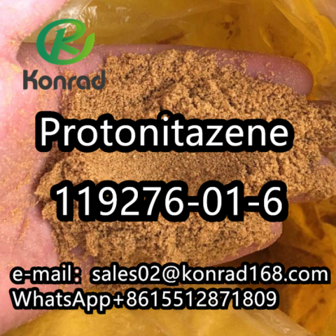  Protonitazene (hydrochloride) CAS:119276-01-6