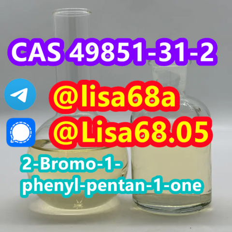 CAS 49851-31-2 2-Bromo-1-phenyl-pentan-1-one C11H13BrO