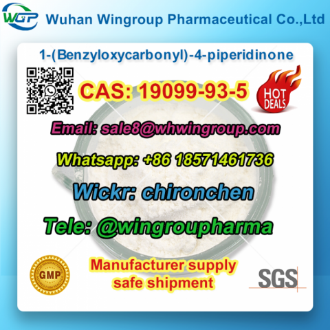 19099-93-5 1-(Benzyloxycarbonyl)-4-piperidinone WA+86 18571461736