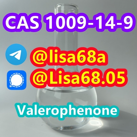 CAS 1009-14-9 Valerophenone C11H14O