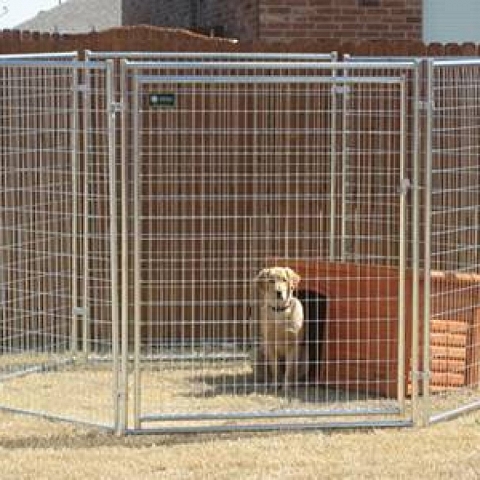 Welded Animal Pen and Cage