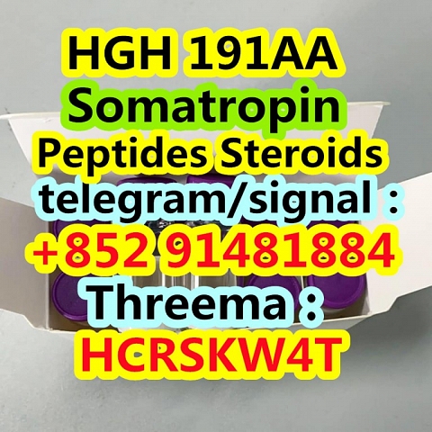 HGH 191AA Somatropin cas 126-01-5