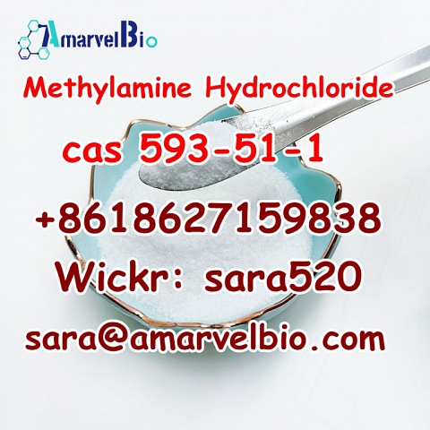 +8618627159838 Methylamine Hydrochloride CAS 593-51-1 Research Chemical with Fast Delivery