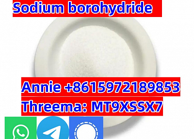 CAS 16940-66-2 Sodium borohydride SBH good quality, factory price and safety shipping